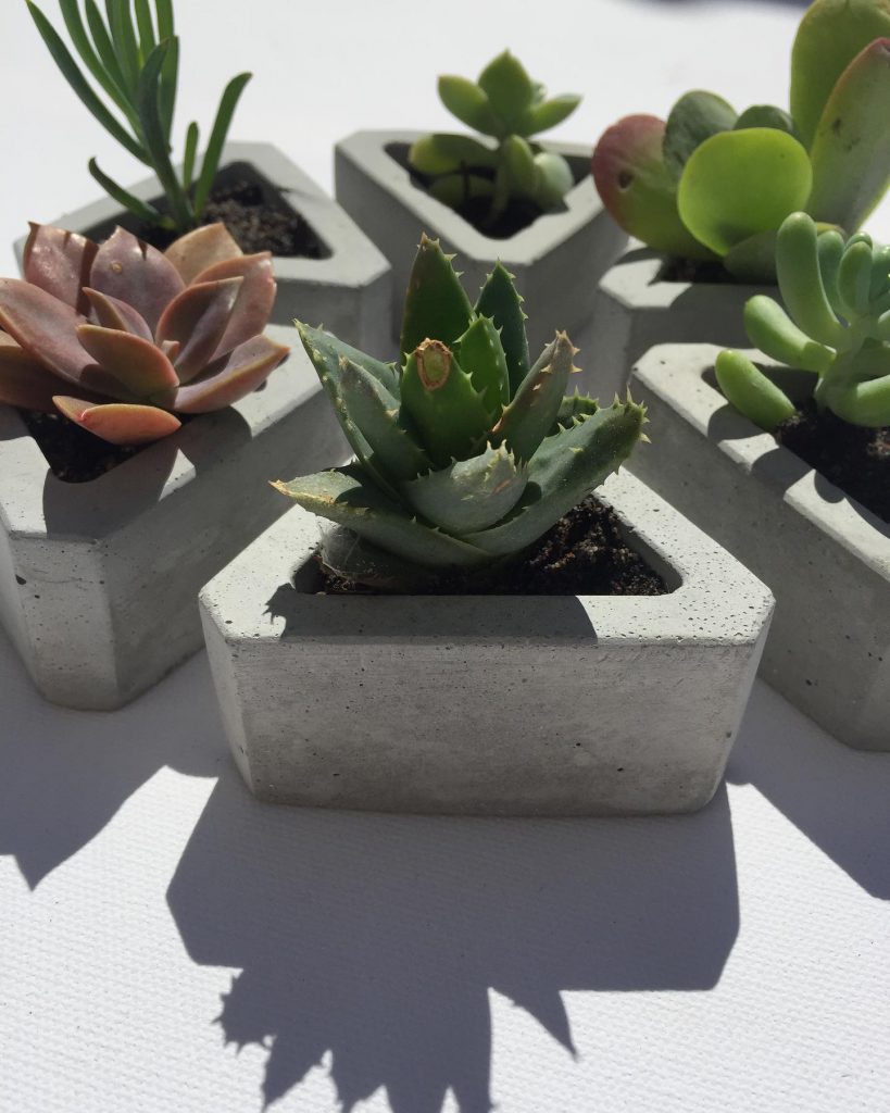 Grey Cement Concepts