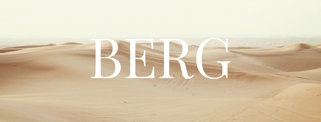 Berg Digital Marketing