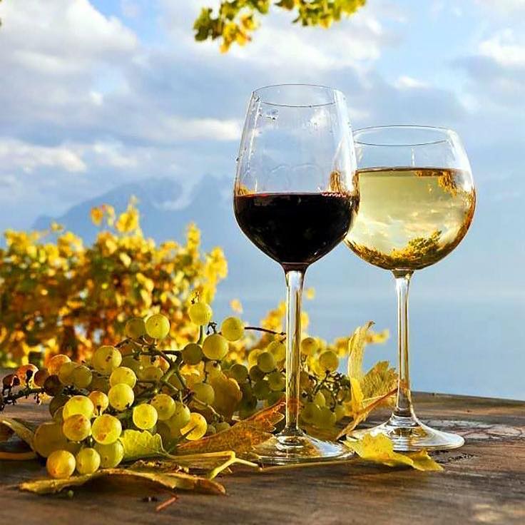 Liano Wine